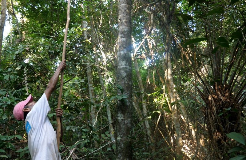 Madidi : vivre dans une forêt protégée