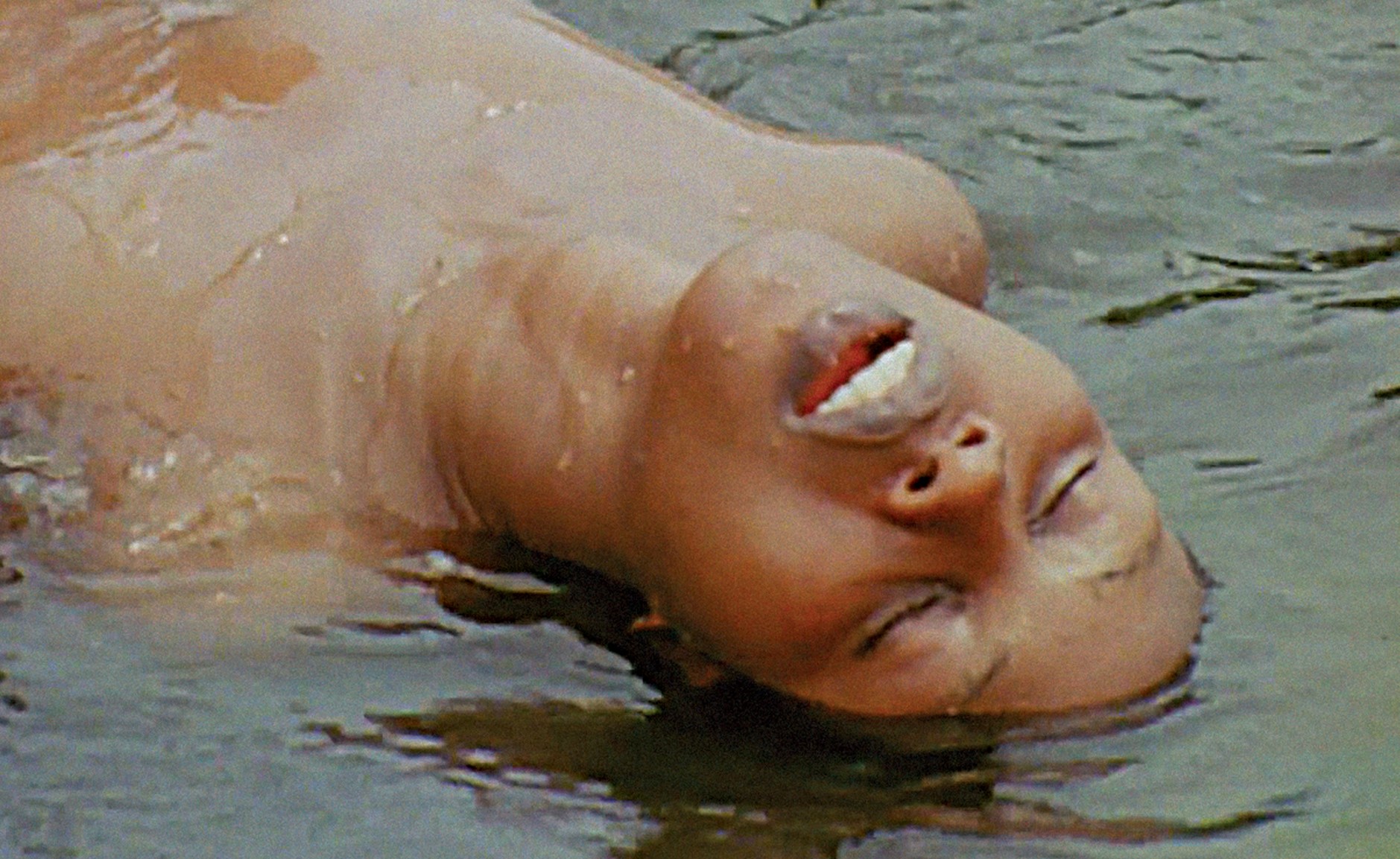 Agenda_Visagesdefemmes